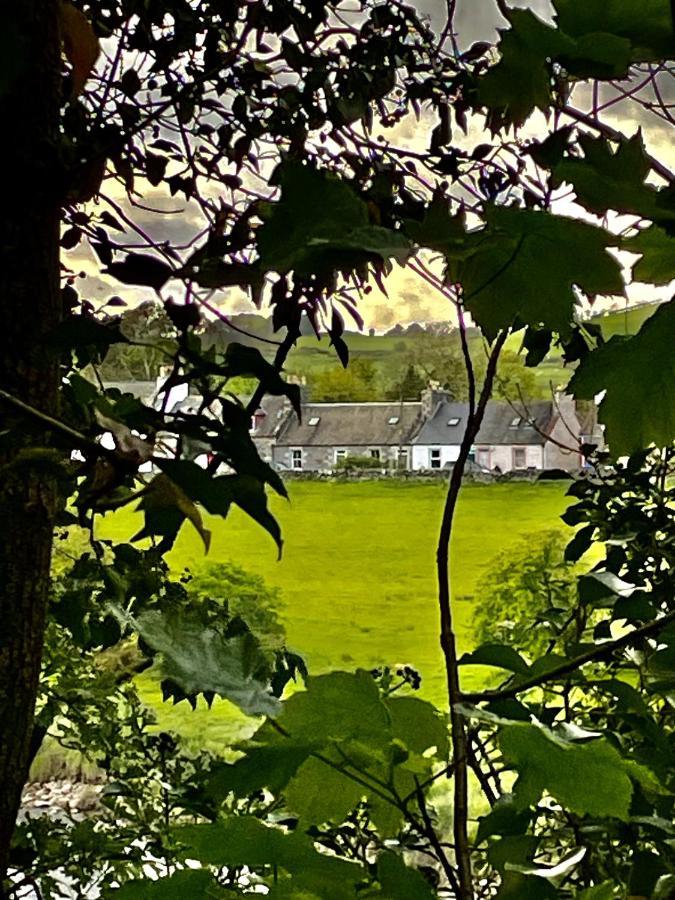 Apple Cottage Ньютон Стюарт Экстерьер фото